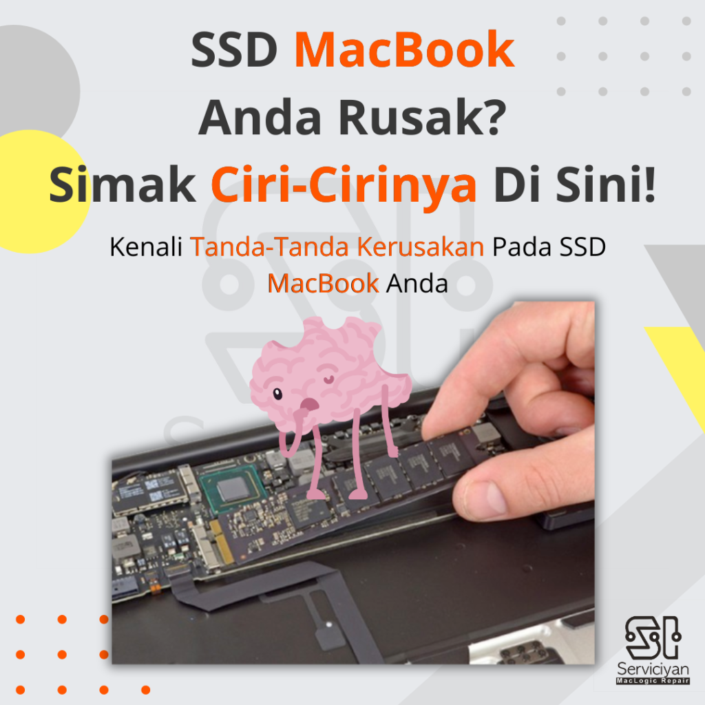 SSD Macbook Anda Rusak? Simak Ciri-cirinya di Sini!