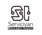 LogoServiciyan